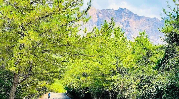 🍶 소주 도장 (미니부루와리 쇼츄도조) 이미지 4